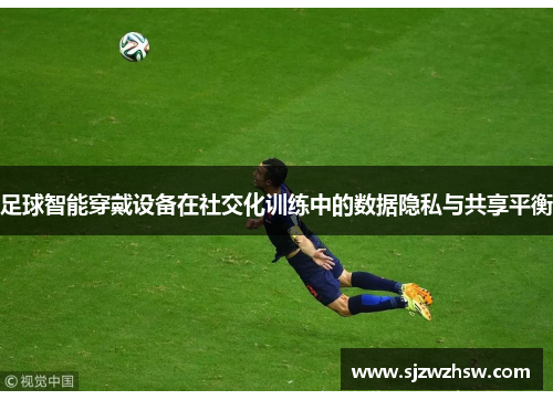 足球智能穿戴设备在社交化训练中的数据隐私与共享平衡